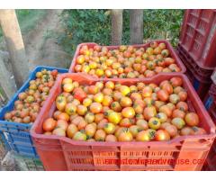 Sale of tomatoes